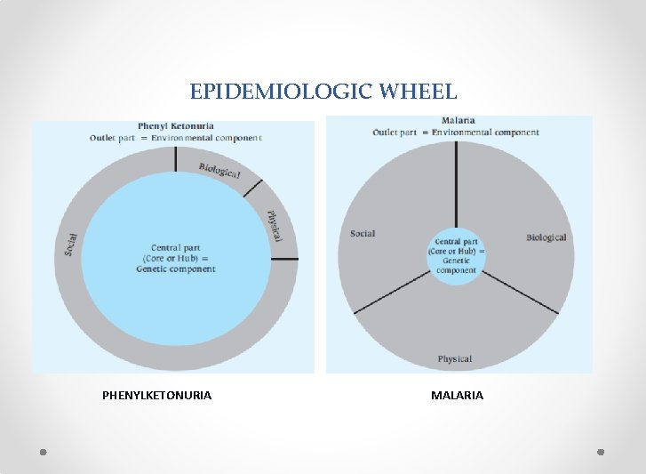 EPIDEMIOLOGIC WHEEL PHENYLKETONURIA MALARIA 