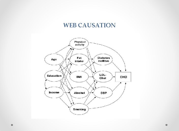 WEB CAUSATION 