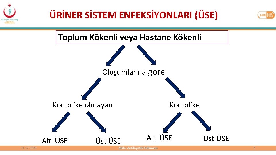 ÜRİNER SİSTEM ENFEKSİYONLARI (ÜSE) Toplum Kökenli veya Hastane Kökenli Oluşumlarına göre Komplike olmayan Alt