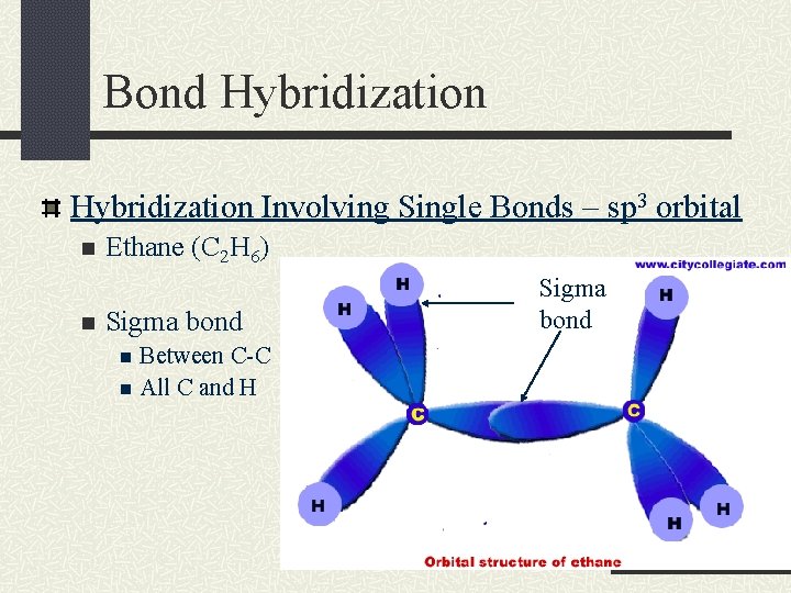Bond Hybridization Involving Single Bonds – sp 3 orbital n n Ethane (C 2