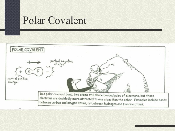 Polar Covalent 