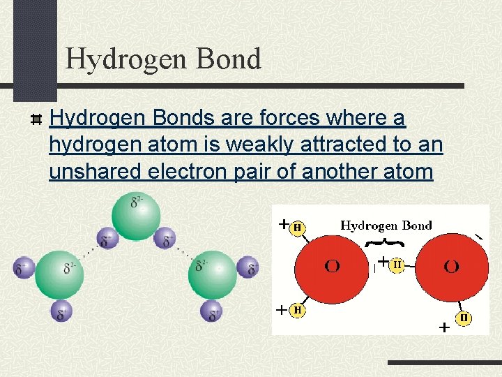 Hydrogen Bonds are forces where a hydrogen atom is weakly attracted to an unshared