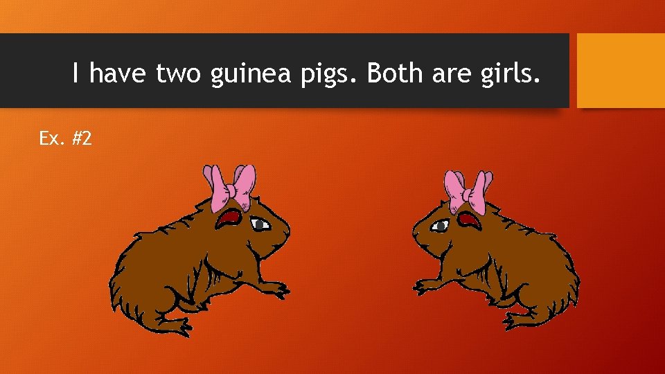 I have two guinea pigs. Both are girls. Ex. #2 