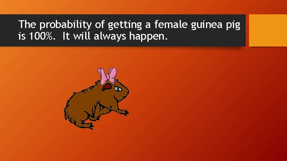 The probability of getting a female guinea pig is 100%. It will always happen.