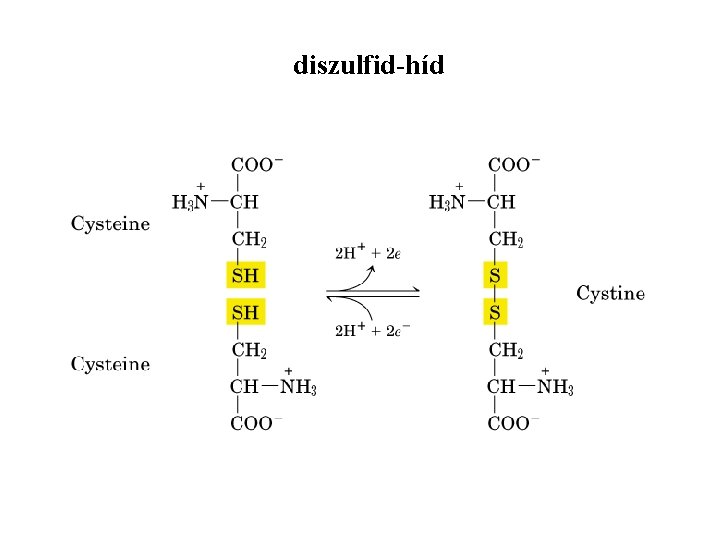 diszulfid-híd 