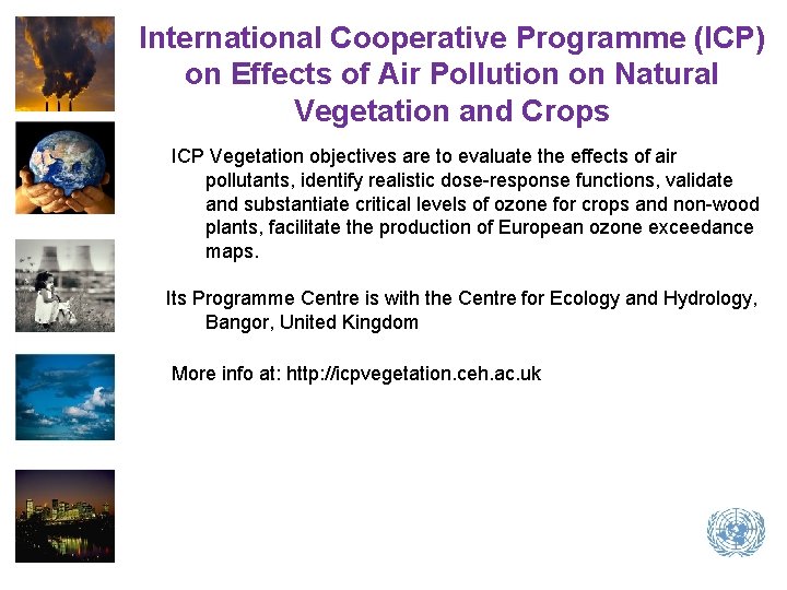 International Cooperative Programme (ICP) on Effects of Air Pollution on Natural Vegetation and Crops