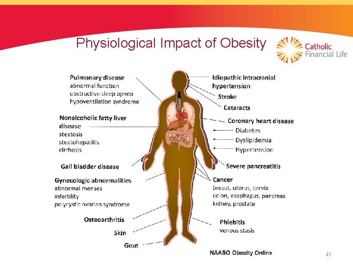 Physiological Impact of Obesity 41 