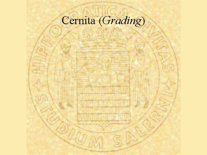 Cernita (Grading) 