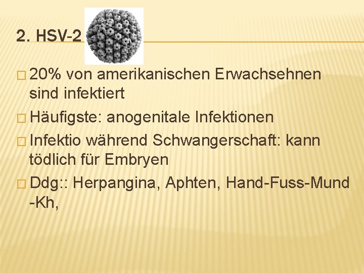 2. HSV-2 � 20% von amerikanischen Erwachsehnen sind infektiert � Häufigste: anogenitale Infektionen �