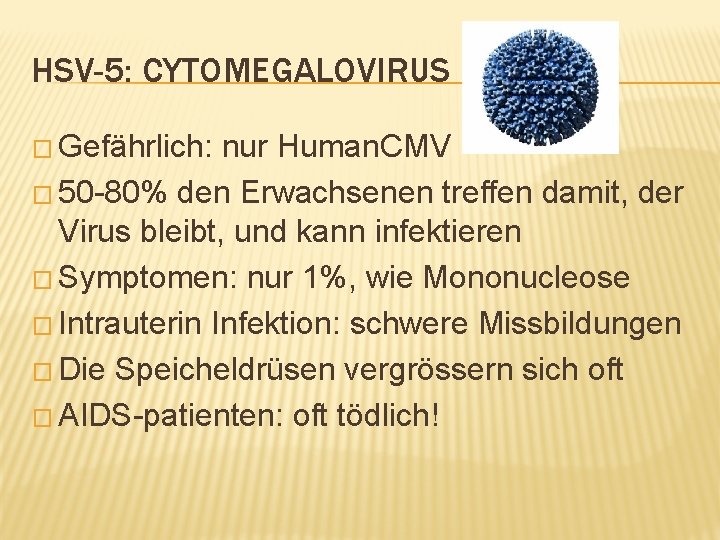 HSV-5: CYTOMEGALOVIRUS � Gefährlich: nur Human. CMV � 50 -80% den Erwachsenen treffen damit,