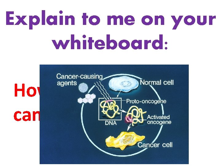 Explain to me on your whiteboard: How a cell becomes cancerous 