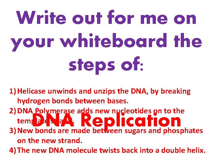 Write out for me on your whiteboard the steps of: 1) Helicase unwinds and