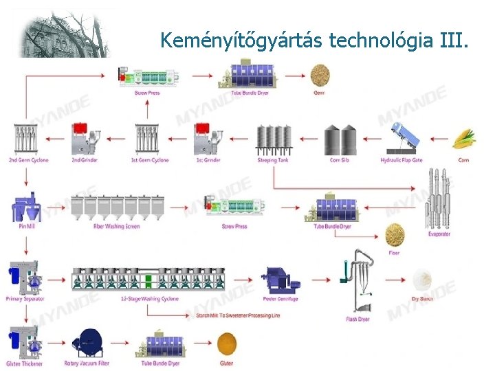 Keményítőgyártás technológia III. kukoricából 10 Keményítőgyártás technológia III. kukoricából 10