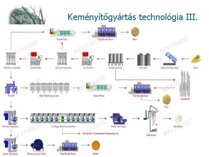 Keményítőgyártás technológia III. kukoricából 10 