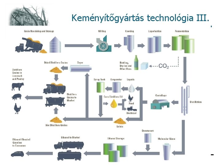 Keményítőgyártás technológia III. kukoricából 11 