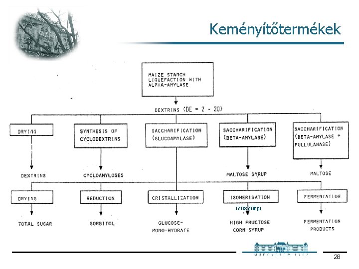 Keményítőtermékek izoszörp 28 