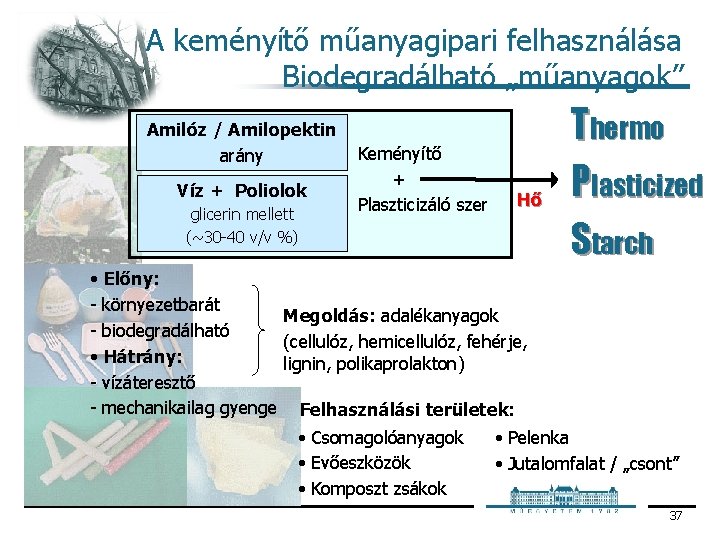 A keményítő műanyagipari felhasználása Biodegradálható „műanyagok” Amilóz / Amilopektin arány Víz + Poliolok glicerin A keményítő műanyagipari felhasználása Biodegradálható „műanyagok” Amilóz / Amilopektin arány Víz + Poliolok glicerin