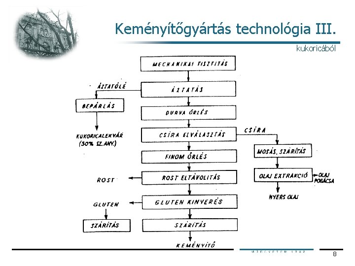 Keményítőgyártás technológia III. kukoricából 8 