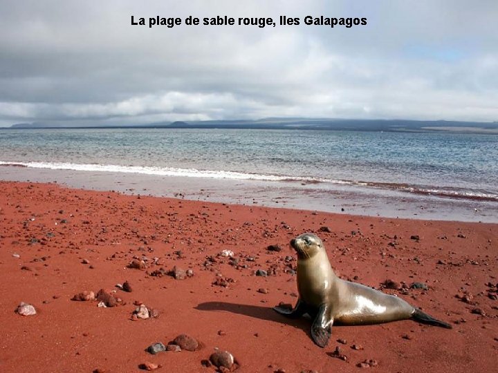 La plage de sable rouge, Iles Galapagos 