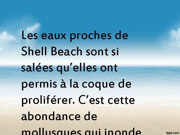 Les eaux proches de Shell Beach sont si salées qu’elles ont permis à la