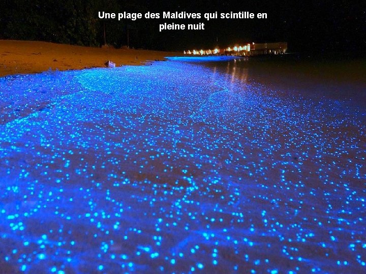 Une plage des Maldives qui scintille en pleine nuit 