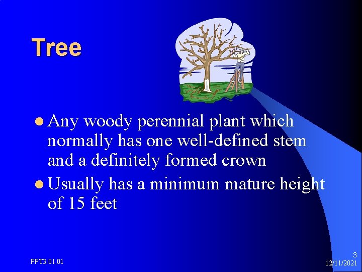 PLANT IDENTIFICATION BASED ON USES PPT 3 01