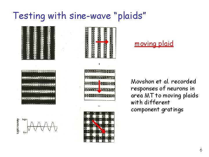 Testing with sine-wave “plaids” moving plaid Movshon et al. recorded responses of neurons in