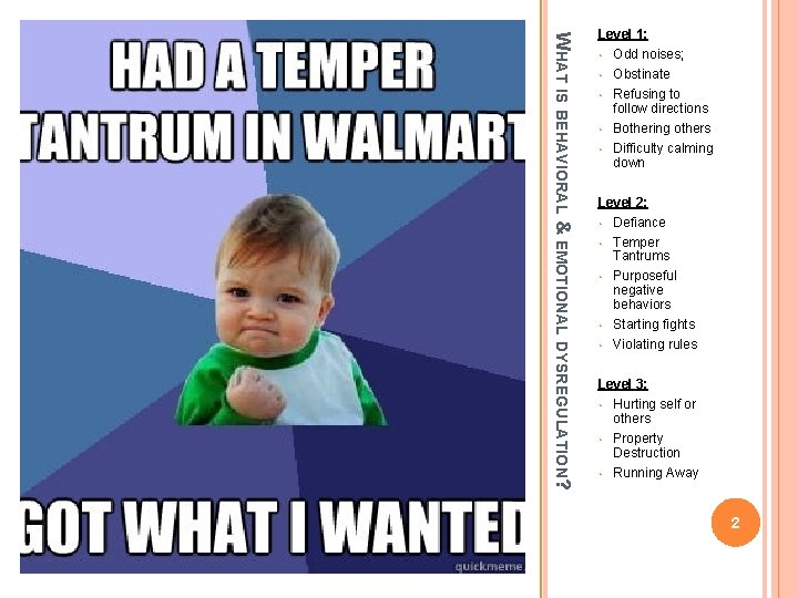 WHAT IS BEHAVIORAL & EMOTIONAL DYSREGULATION? Level 1: • Odd noises; • Obstinate •