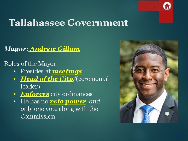 Tallahassee Government Mayor: Andrew Gillum Roles of the Mayor: • Presides at meetings •