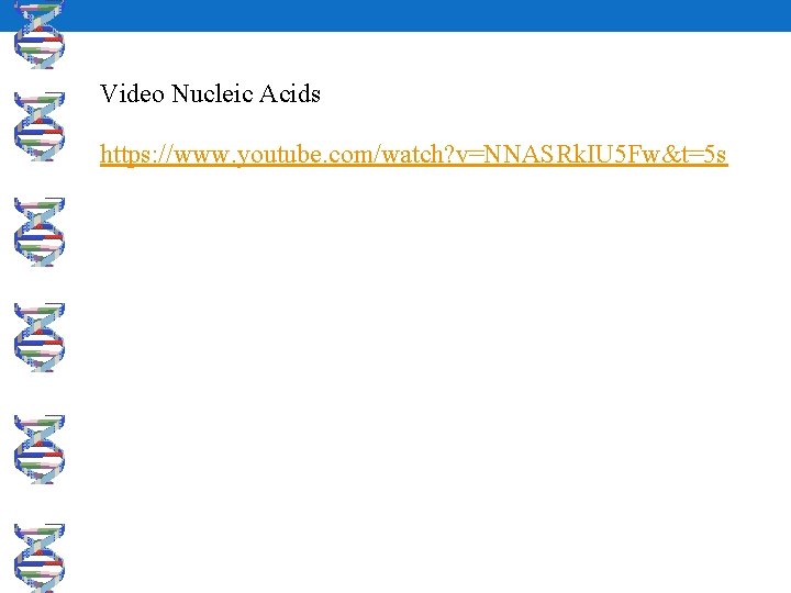 Video Nucleic Acids https: //www. youtube. com/watch? v=NNASRk. IU 5 Fw&t=5 s 