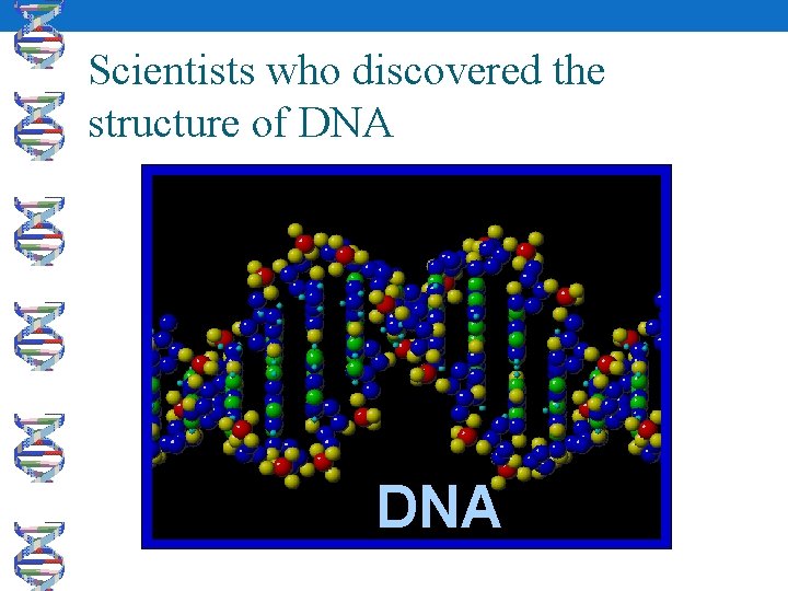 Scientists who discovered the structure of DNA 