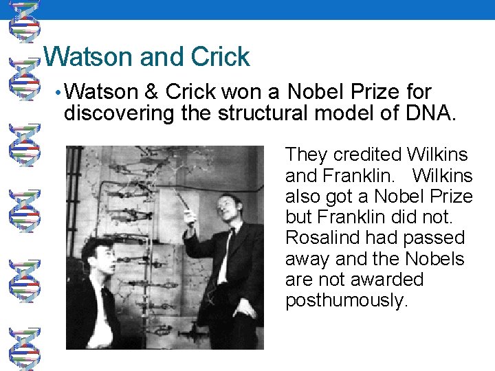 Watson and Crick • Watson & Crick won a Nobel Prize for discovering the