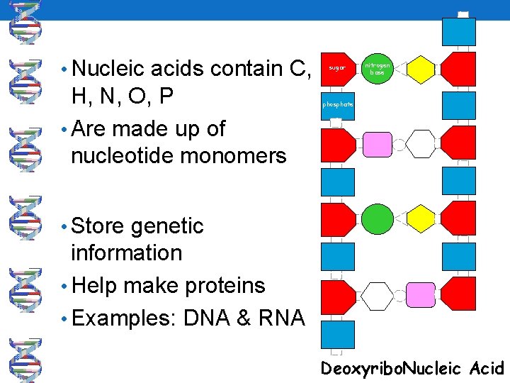  • Nucleic acids contain C, H, N, O, P • Are made up