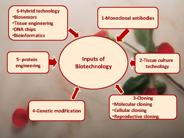 6 -Hybrid technology • Biosensors • Tissue engineering • DNA chips • Bioinformatics 5
