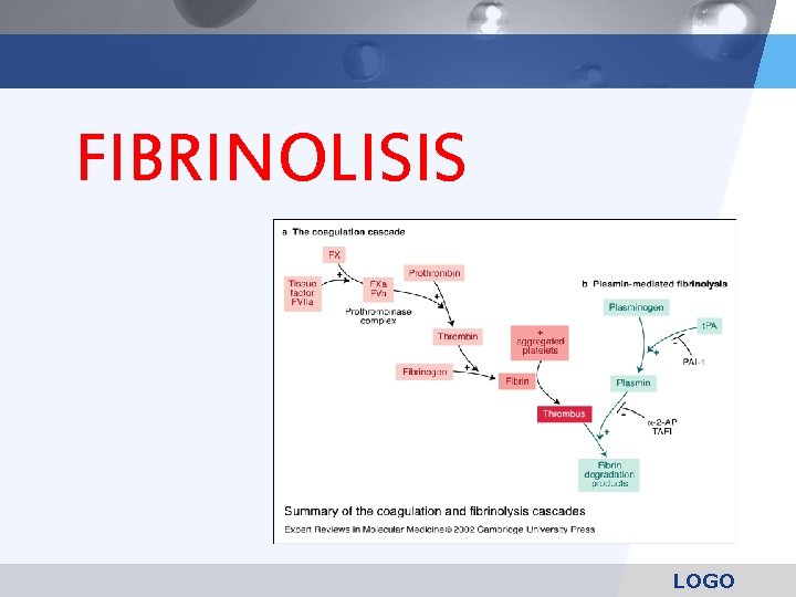 FIBRINOLISIS LOGO 