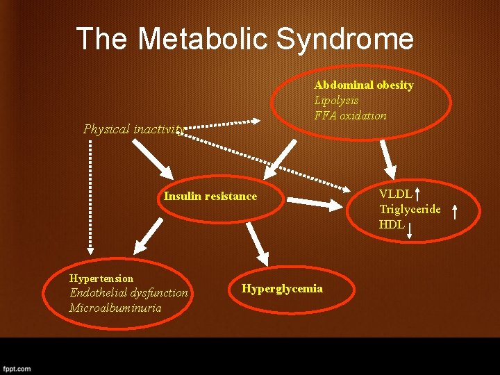 The Metabolic Syndrome Abdominal obesity Lipolysis FFA oxidation Physical inactivity Insulin resistance Hypertension Endothelial