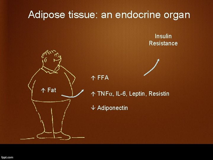 Adipose tissue: an endocrine organ Insulin Resistance FFA Fat TNFa, IL-6, Leptin, Resistin Adiponectin