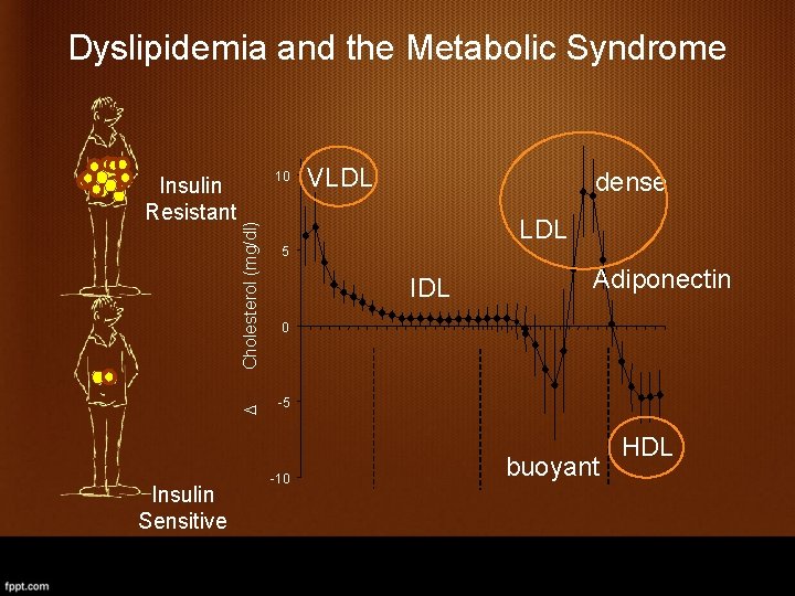 Dyslipidemia and the Metabolic Syndrome Cholesterol (mg/dl) 10 D Insulin Resistant Insulin Sensitive VLDL