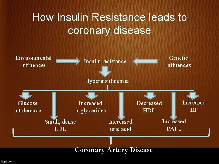 How Insulin Resistance leads to coronary disease Environmental influences Genetic influences Insulin resistance Hyperinsulinemia