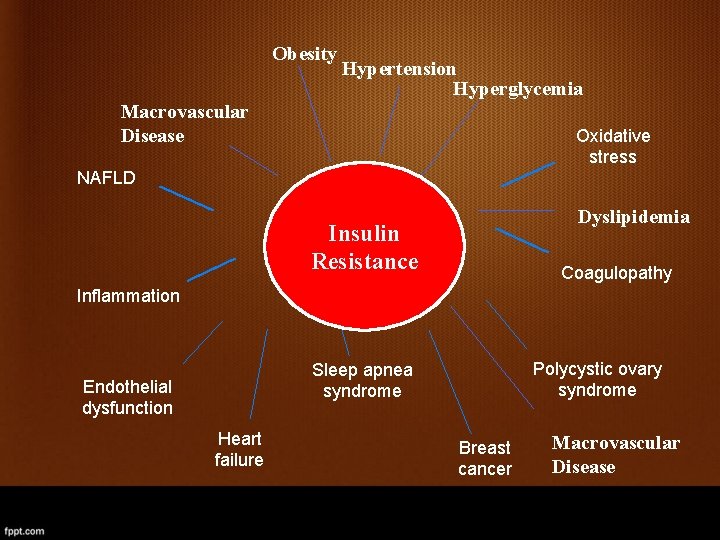 Obesity Hypertension Hyperglycemia Macrovascular Disease Oxidative stress NAFLD Dyslipidemia Insulin Resistance Coagulopathy Inflammation Polycystic