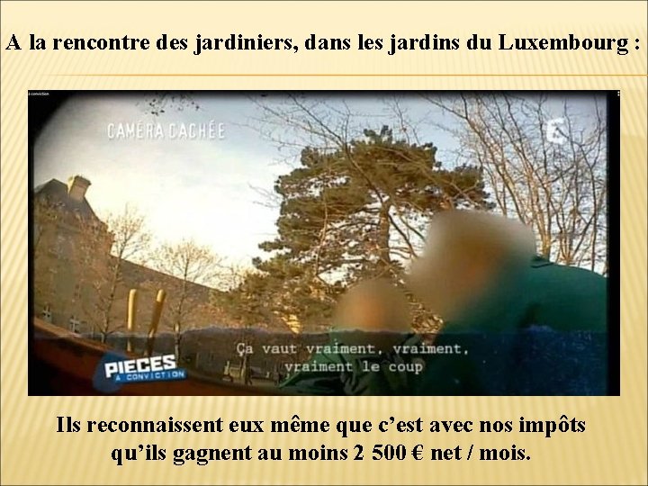 A la rencontre des jardiniers, dans les jardins du Luxembourg : Ils reconnaissent eux