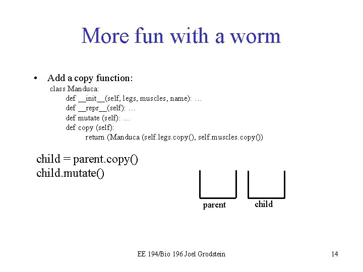 More fun with a worm • Add a copy function: class Manduca: def __init__(self,