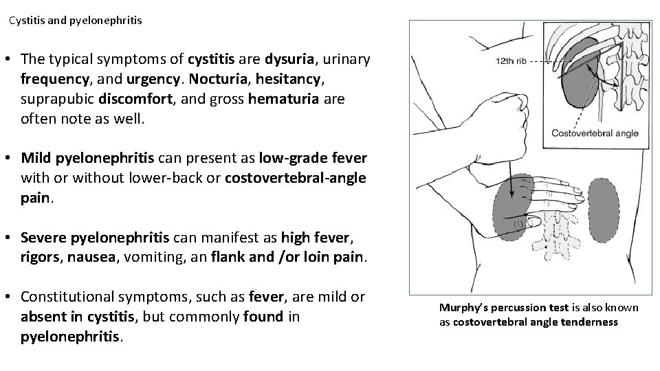 Cystitis and pyelonephritis • The typical symptoms of cystitis are dysuria, urinary frequency, and Cystitis and pyelonephritis • The typical symptoms of cystitis are dysuria, urinary frequency, and