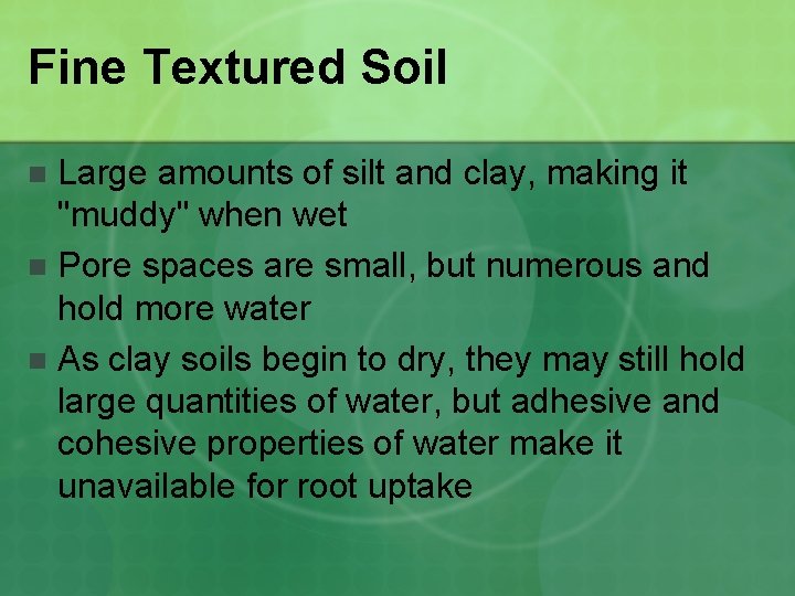 Fine Textured Soil Large amounts of silt and clay, making it "muddy" when wet