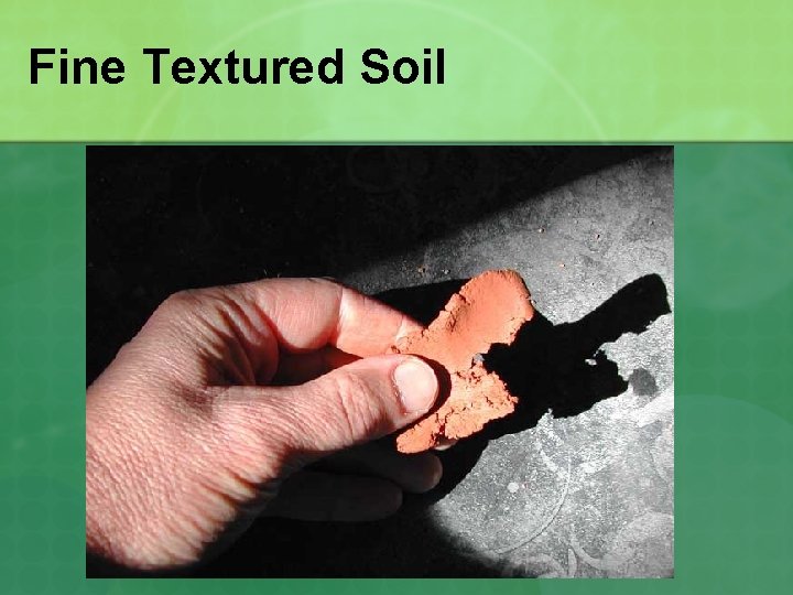 Fine Textured Soil 