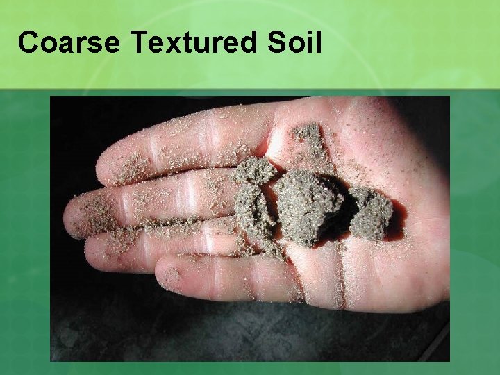 Coarse Textured Soil 