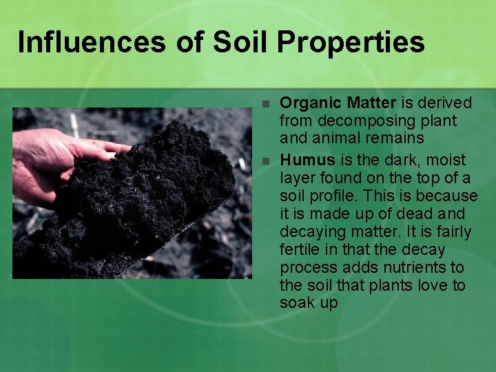 Influences of Soil Properties n n Organic Matter is derived from decomposing plant and