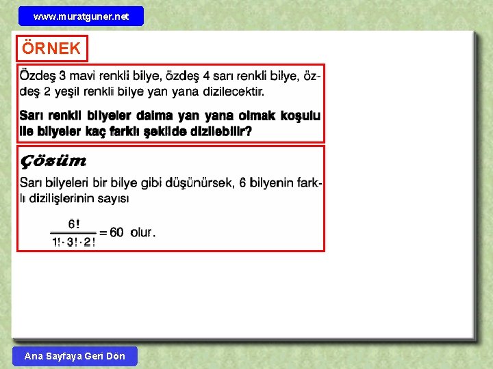 www. muratguner. net ÖRNEK Ana Sayfaya Geri Dön 
