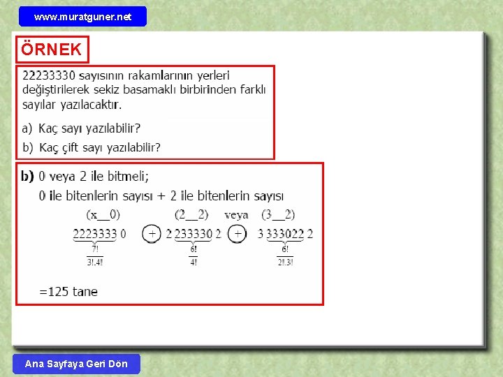 www. muratguner. net ÖRNEK Ana Sayfaya Geri Dön 