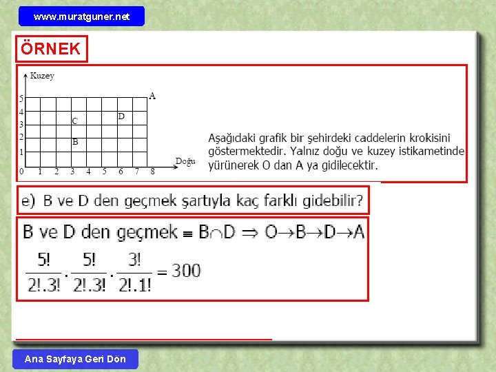 www. muratguner. net ÖRNEK Ana Sayfaya Geri Dön 